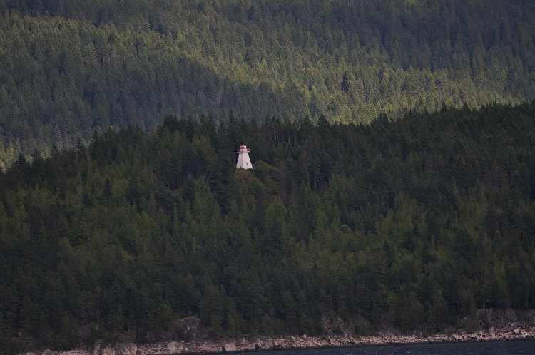 the lighthouse